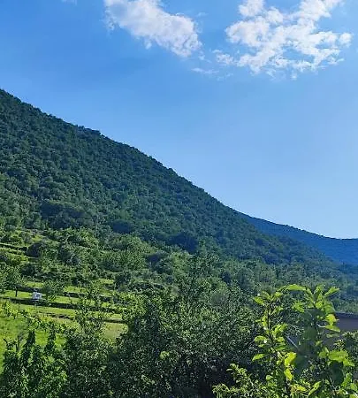 Bartulovic