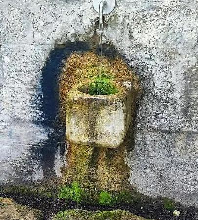 Bartulovic * Kučiće