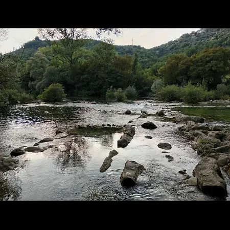 Bartulovic *